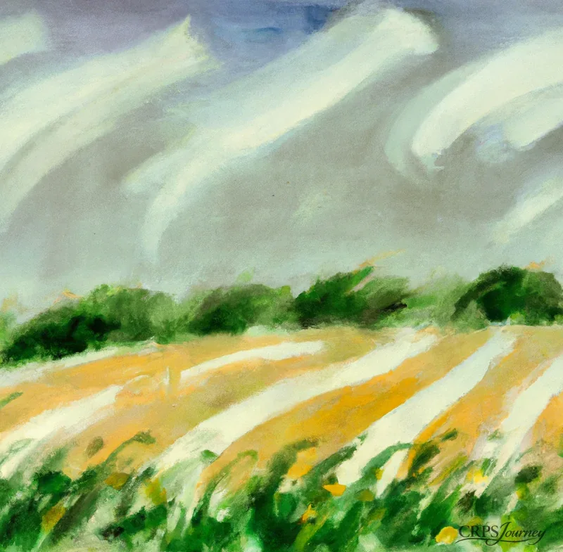 Wind swept field